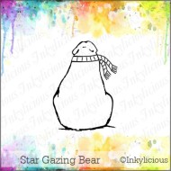 Star Gazing Bear