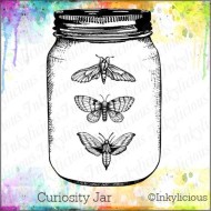 Curiosity Jar with moths