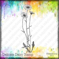 Delicate Daisy Stamp