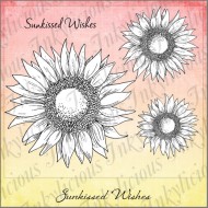 Sun-Kissed Wishes Stamp Set