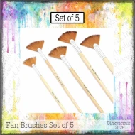 Fan Brush Pack of 5