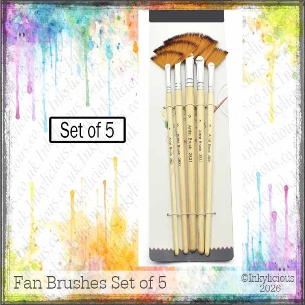 Fan Brush Pack of 5