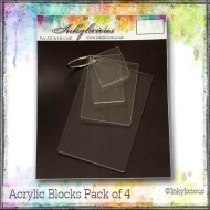 Acrylic Stamp Block Pk of 4