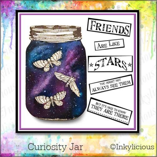 Curiosity Jar with moths