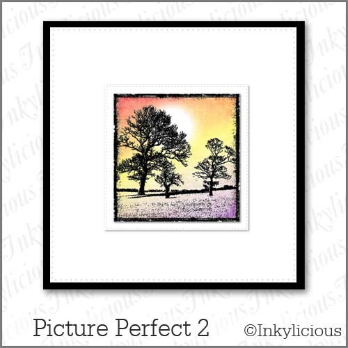 Picture Perfect 2 Stamp