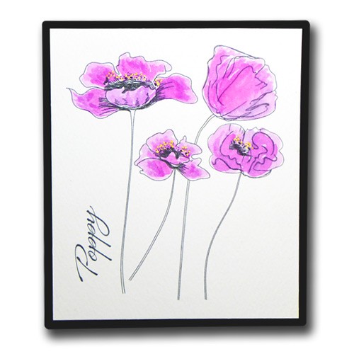 Watercolour Poppy Stamp set