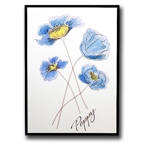 Watercolour Poppy Stamp set